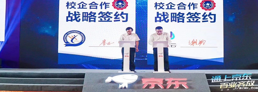 115.jpg
