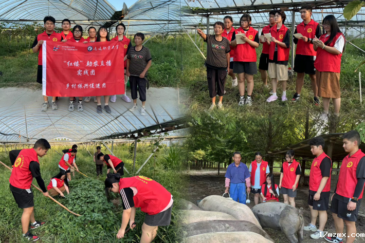 图片2_副本.png